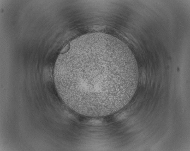 X0000087380236200705181250