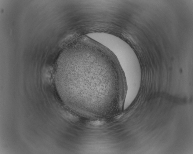 X0000087380237200705181250