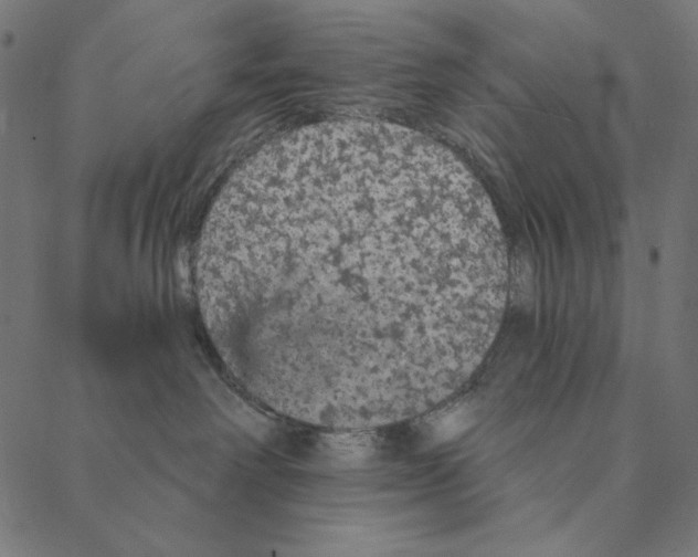 X0000087380238200705181250