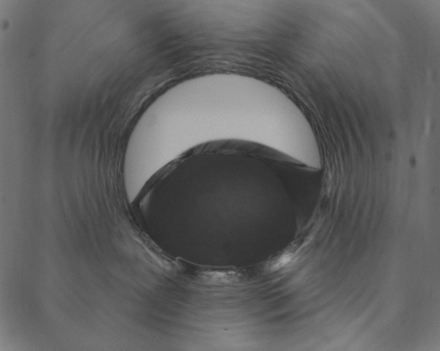 X0000087380239200705181250