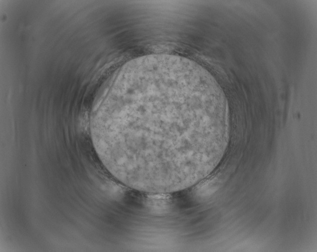 X0000087380240200705181250