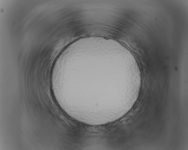 X0000087380241200705181249