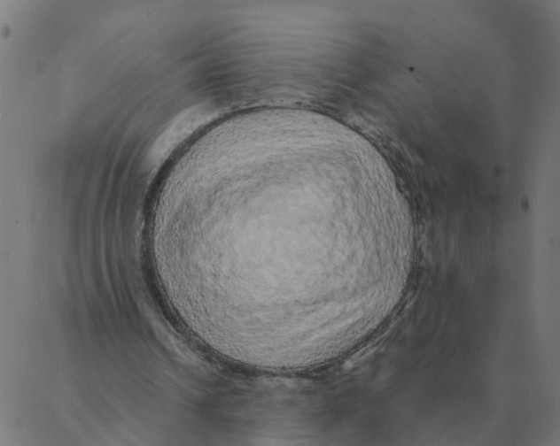 X0000087380242200705181249