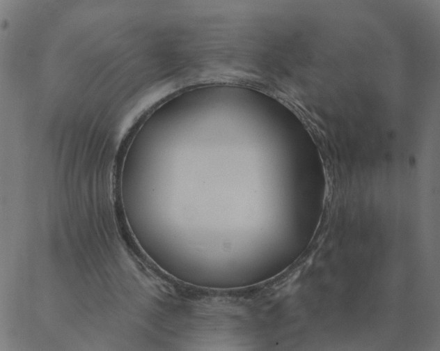 X0000087380244200705181249