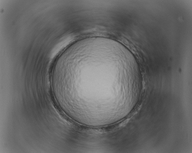 X0000087380245200705181249