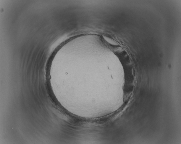 X0000087380246200705181249