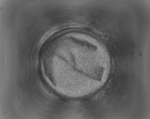 X0000087380247200705181249