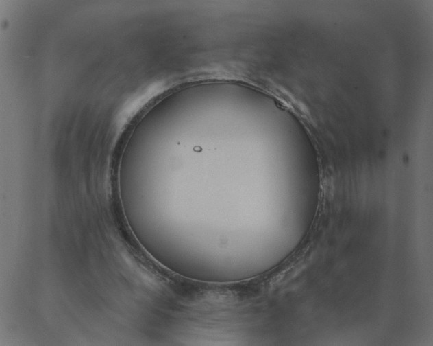 X0000087380248200705181249