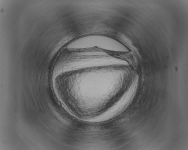 X0000087380250200705181249