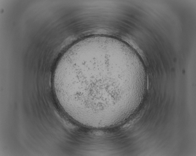 X0000087380253200705181249