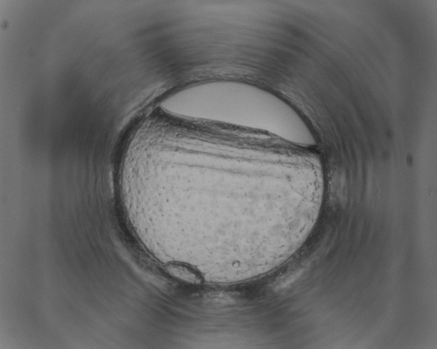 X0000087380254200705181249