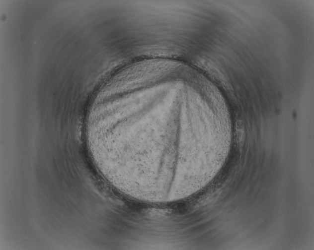 X0000087380255200705181249