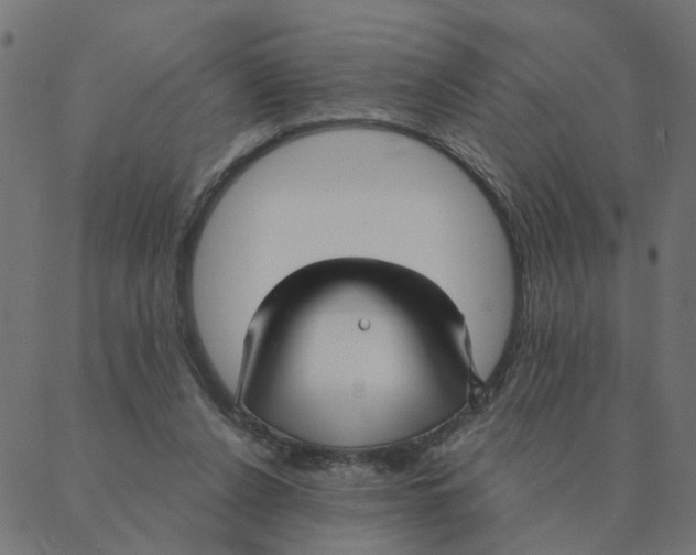 X0000087380256200705181249