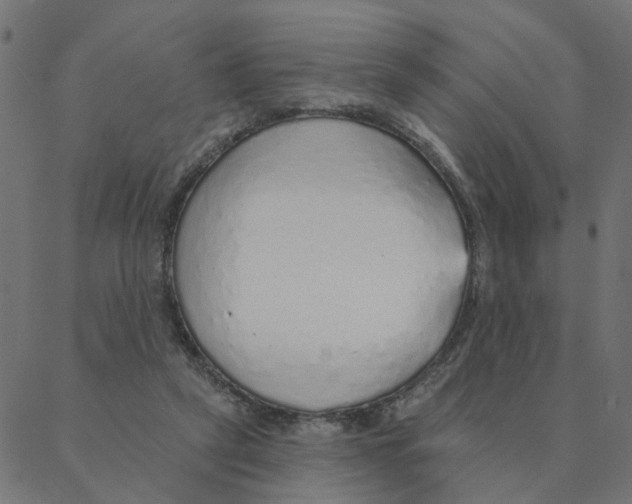 X0000087380257200705181249