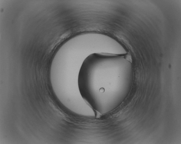 X0000087380260200705181249