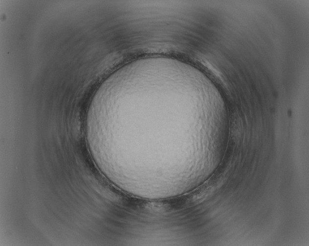 X0000087380261200705181249