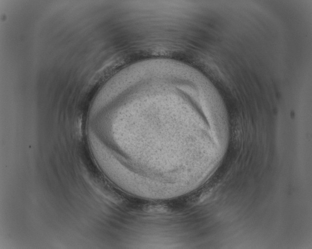 X0000087380262200705181249