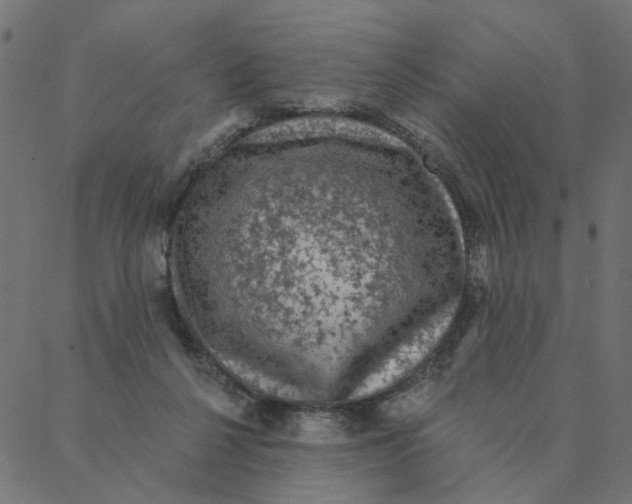 X0000087380264200705181249