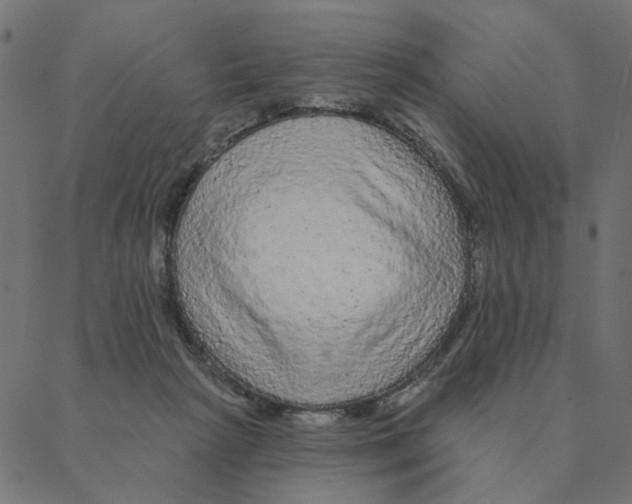 X0000087380265200705181249