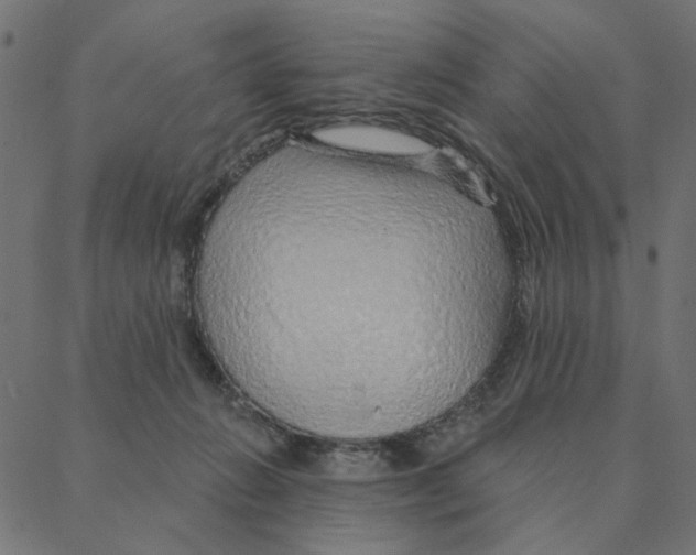 X0000087380270200705181250