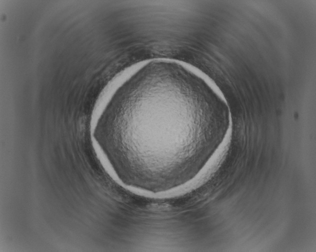 X0000087380271200705181250