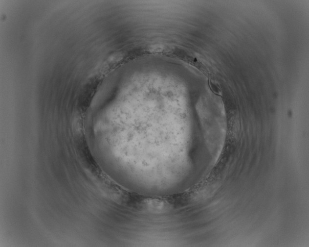 X0000087380272200705181250