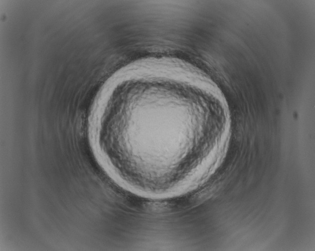 X0000087380273200705181250