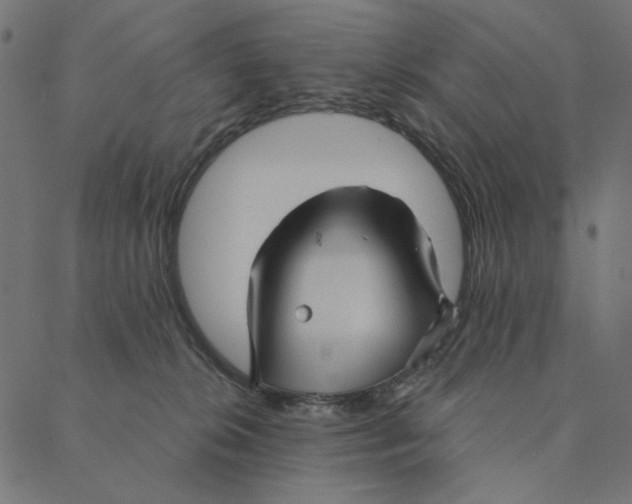 X0000087380276200705181250