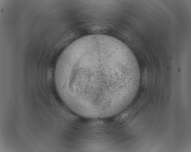 X0000087380278200705181250