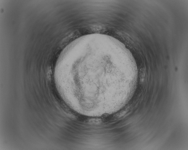 X0000087380279200705181250