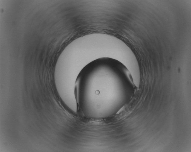 X0000087380280200705181250