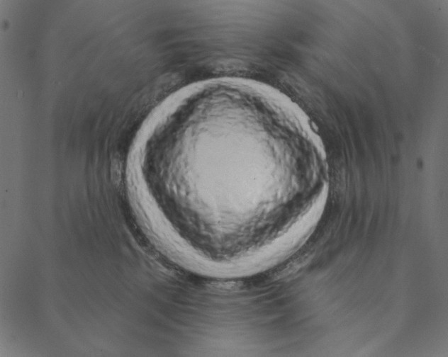 X0000087380281200705181250