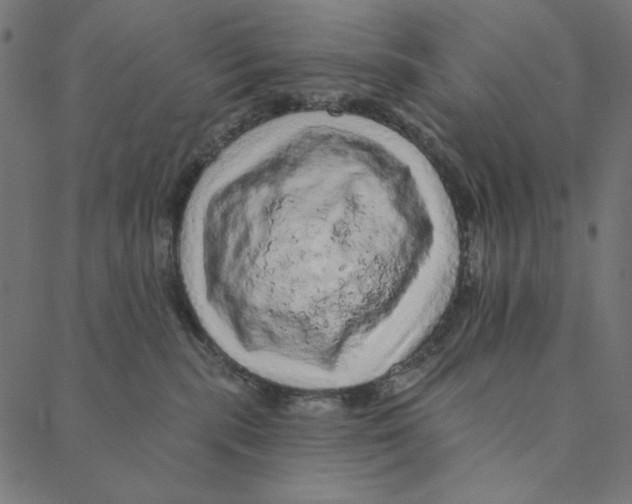 X0000087380283200705181250