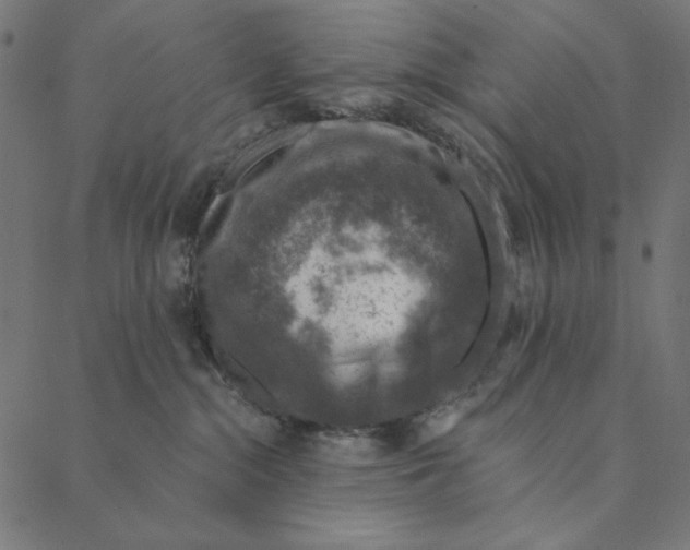 X0000087380284200705181250