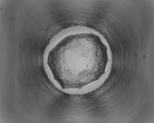 X0000087380285200705181250