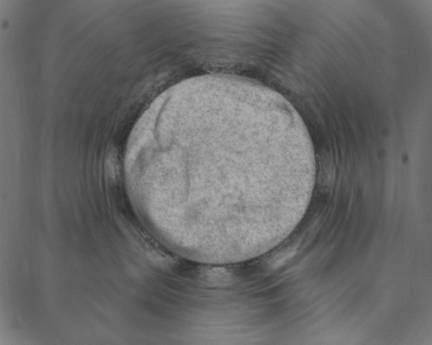 X0000087380287200705181250