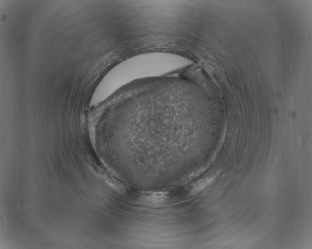 X0000087380288200705181250