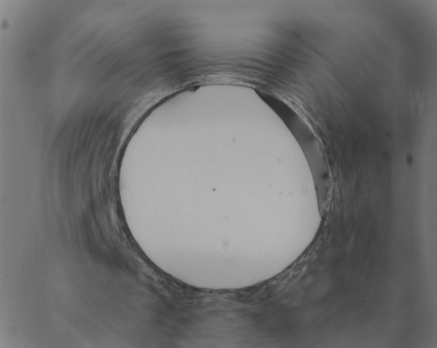 X0000087380289200705181249