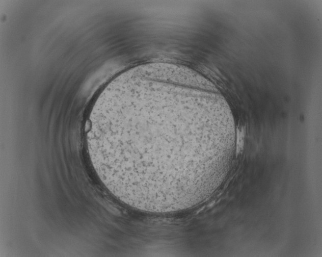 X0000087380291200705181249