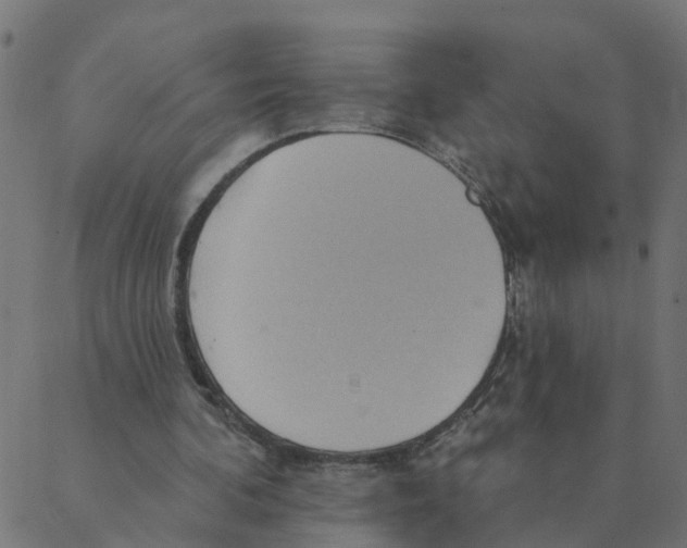 X0000087380292200705181249