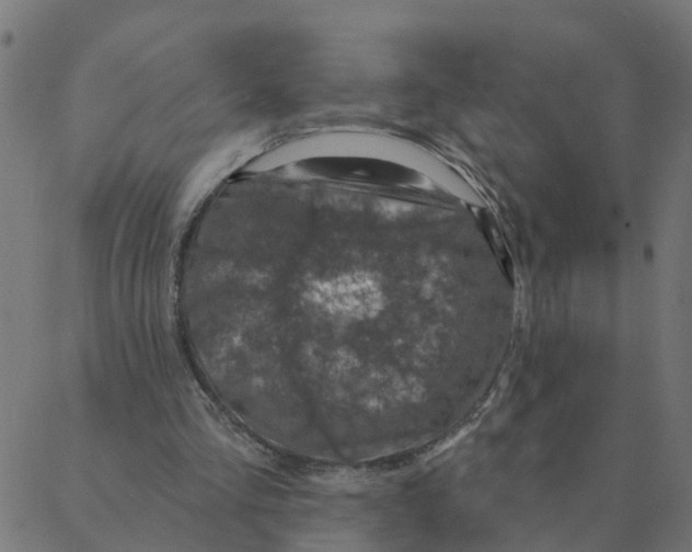 X0000087380293200705181249