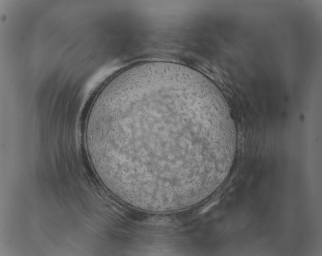 X0000087380294200705181249