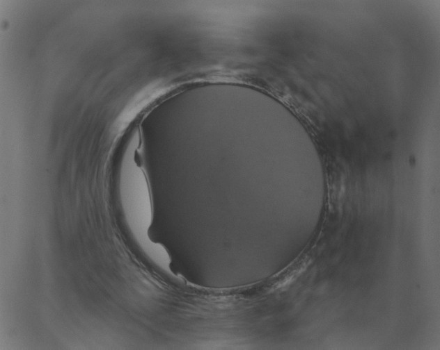 X0000087380295200705181249