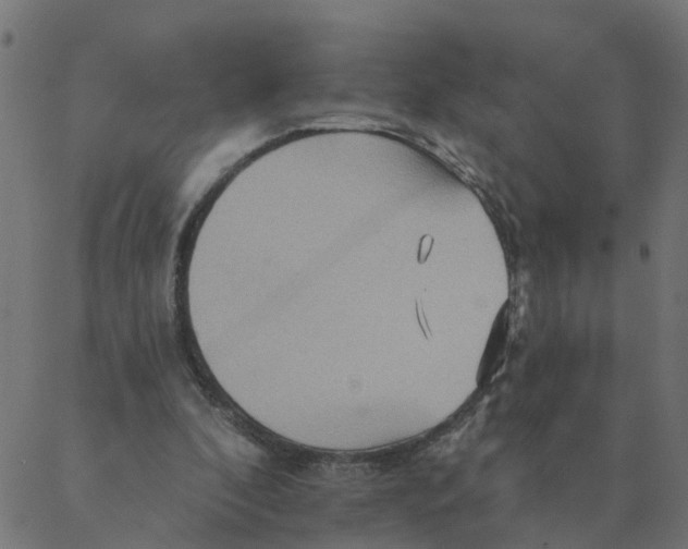 X0000087380296200705181249