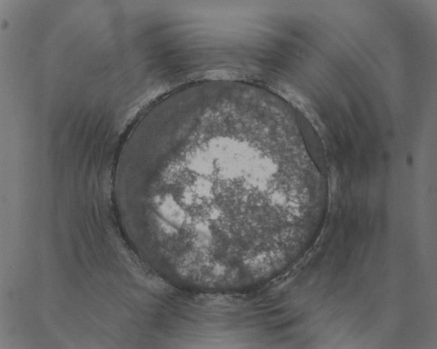 X0000087380297200705181249