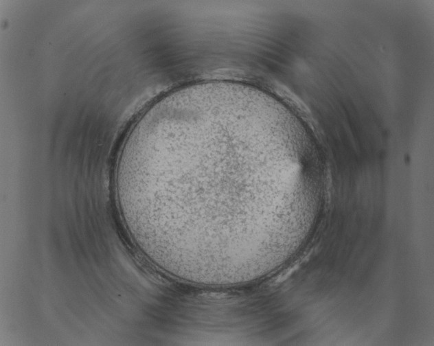 X0000087380298200705181249