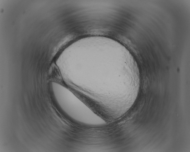 X0000087380299200705181249