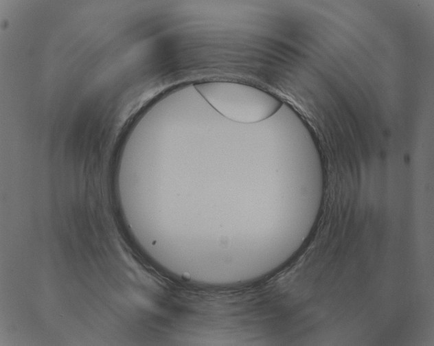 X0000087380302200705181249