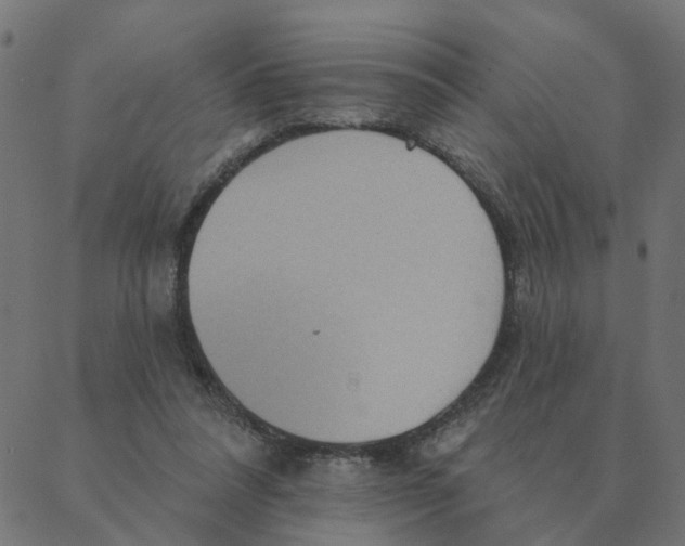 X0000087380304200705181249