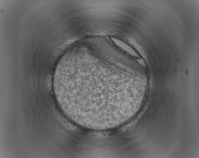 X0000087380305200705181249